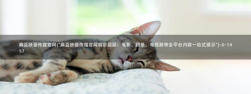 麻豆影视传媒官网黄:麻豆映画传媒官网(\
